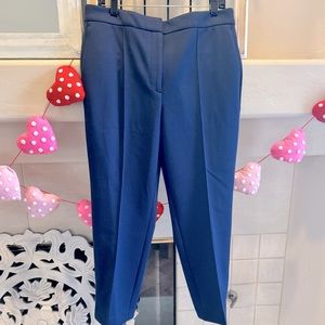 Ann Taylor, Navy Blue “The Ankle Pant” in size 14.